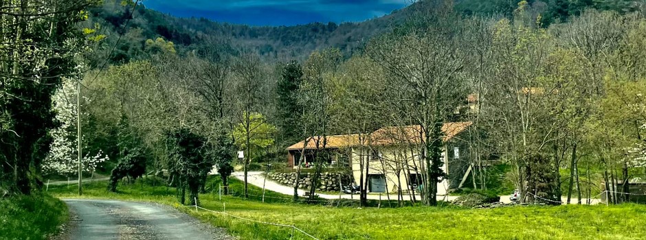 WhatsApp Image 2025-04-21 à 08.50.32_8ae91516.jpg